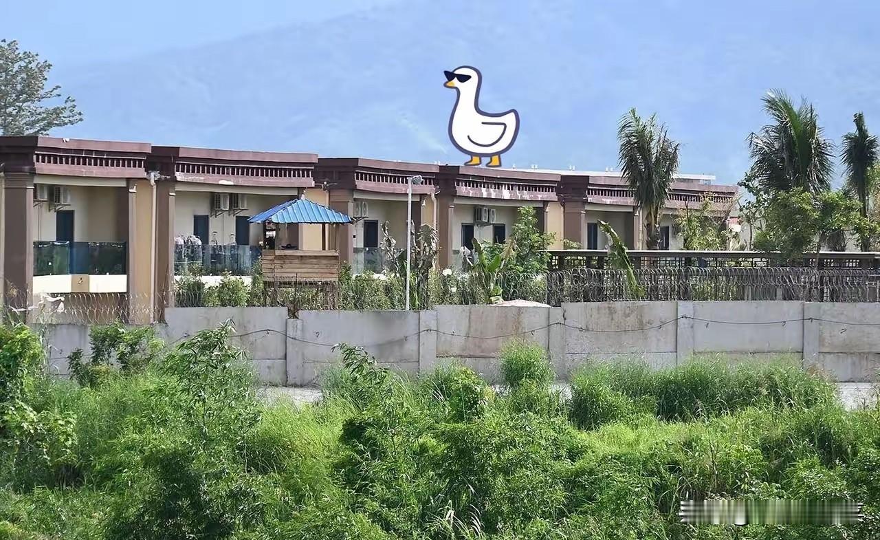 柬埔寨虽然在军事上失利，被泰国打的节节败退，但是根本不慌，因为在柬埔寨可是有着庞