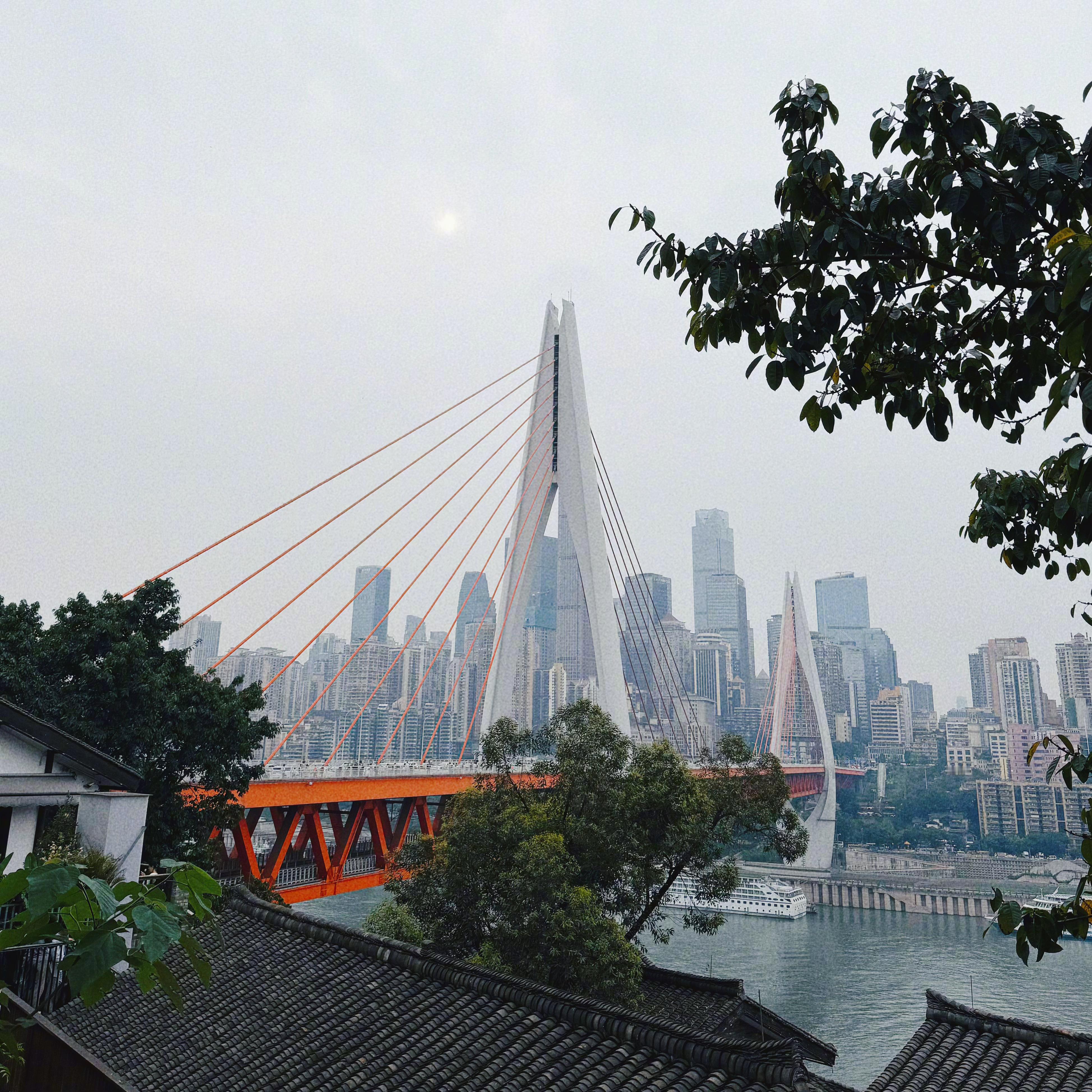 雨过天晴的周六📷🌿 大家周末愉快，评论区抽三位小伙伴各送50🧧喝杯☕️ 轻
