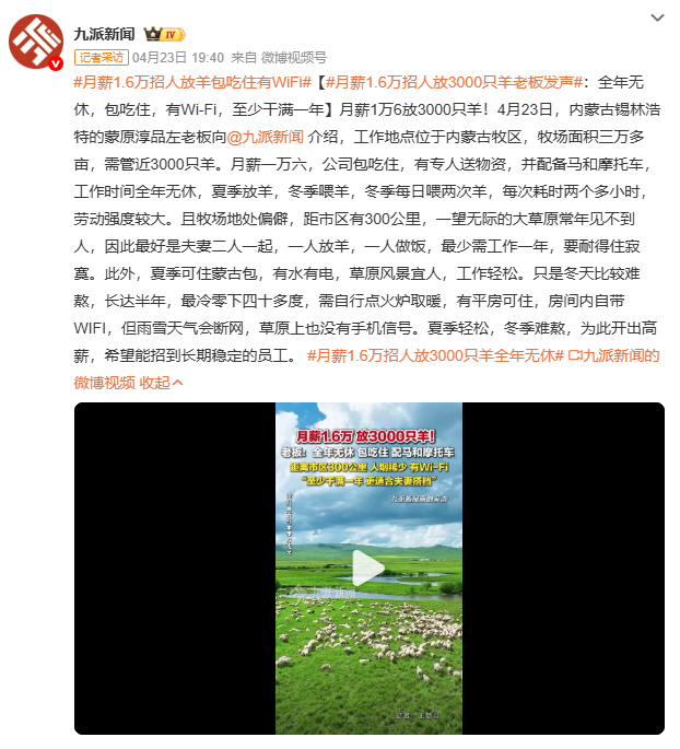 月薪1.6万招人放羊包吃住有WiFi月薪1.6万放3000只羊，听起来像田园牧歌