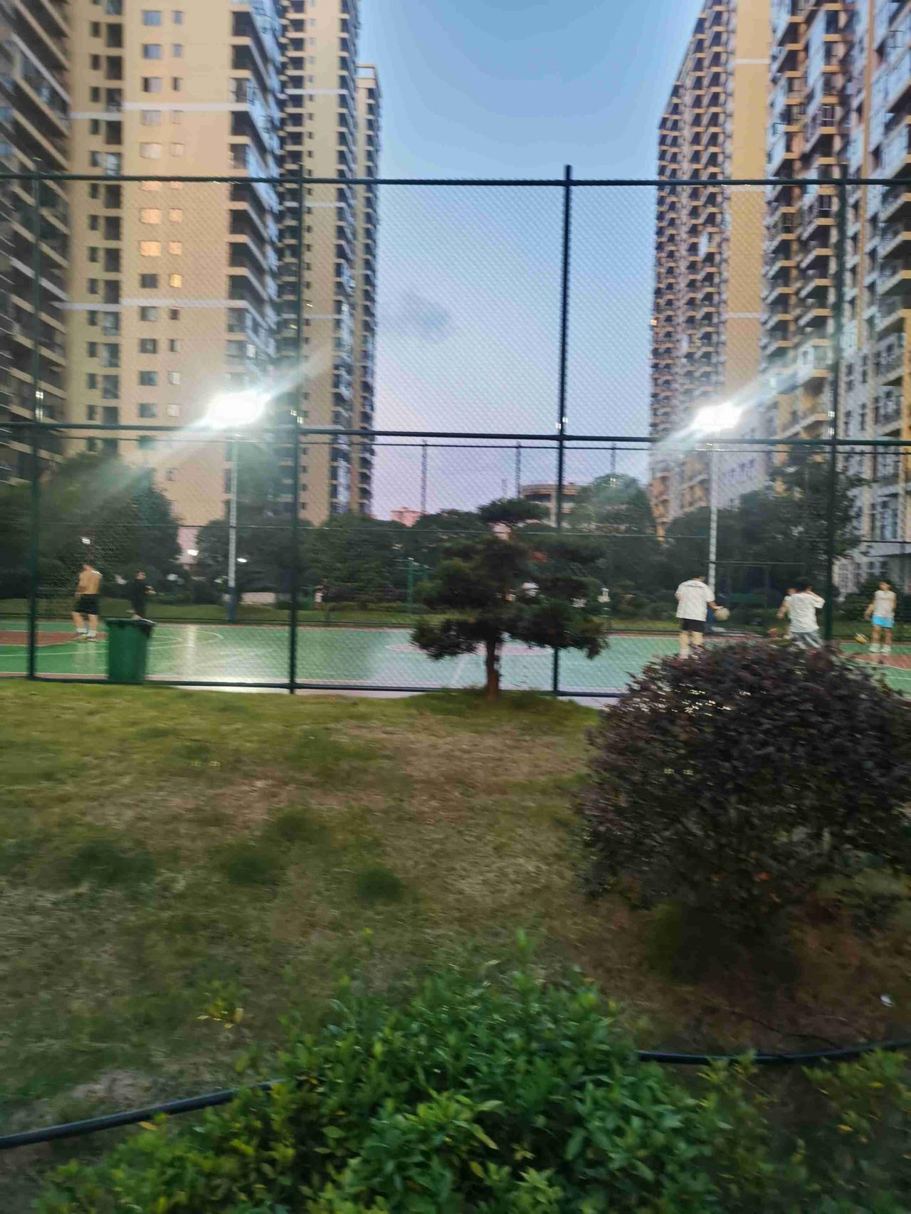我的今日状态：🏃‍➡️运动
我这里的天气：☀️晴天

看着挥洒着汗水的小年青们