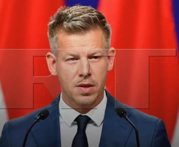 德国媒体一句话捅破窗户纸，匈牙利新当家毛焦尔和泽连斯基正围着欧盟的钱袋子死磕，谁