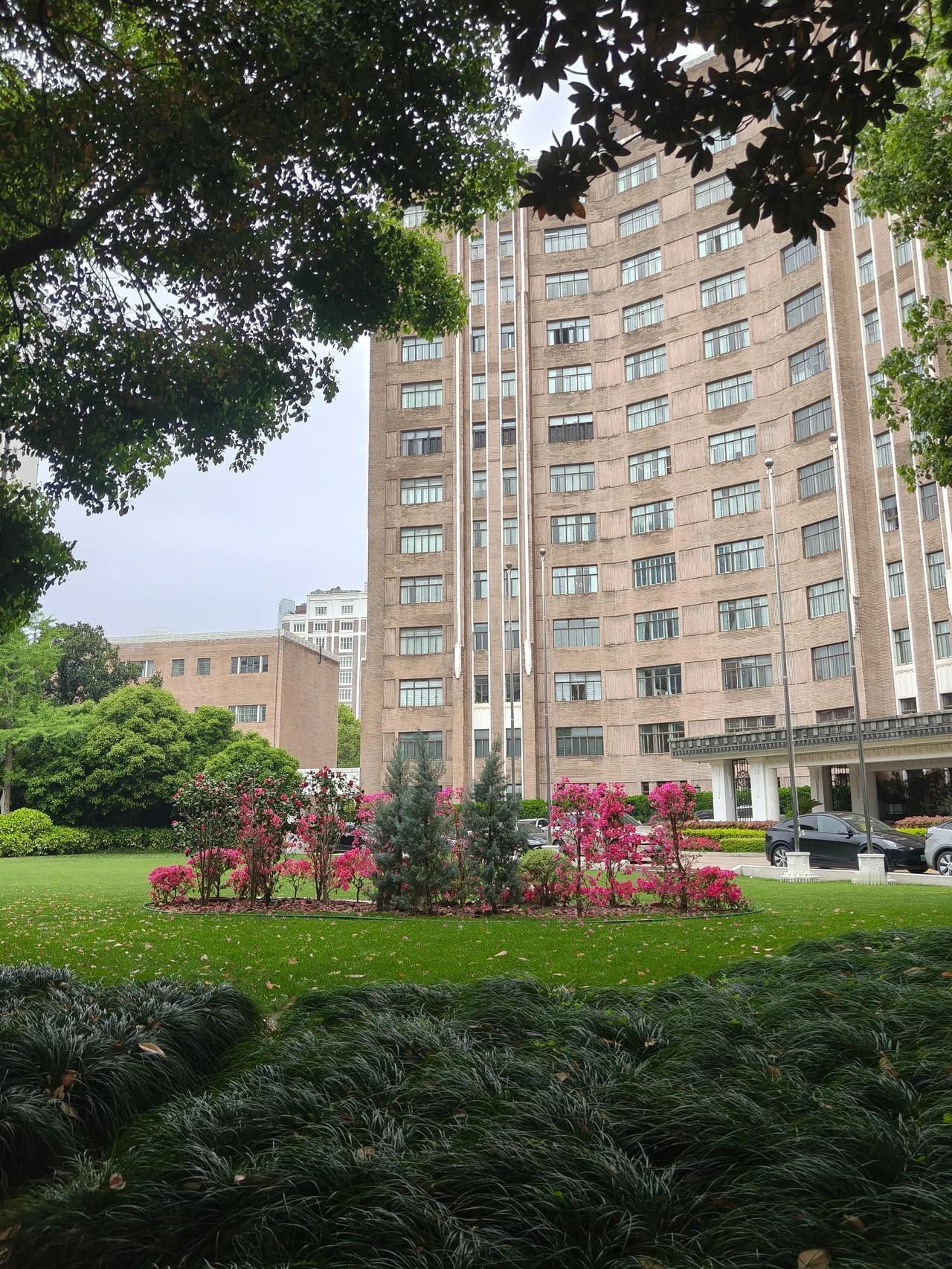 春日午后出行随手拍实景图分享！
锦江饭店之老锦江… 小礼堂💒…