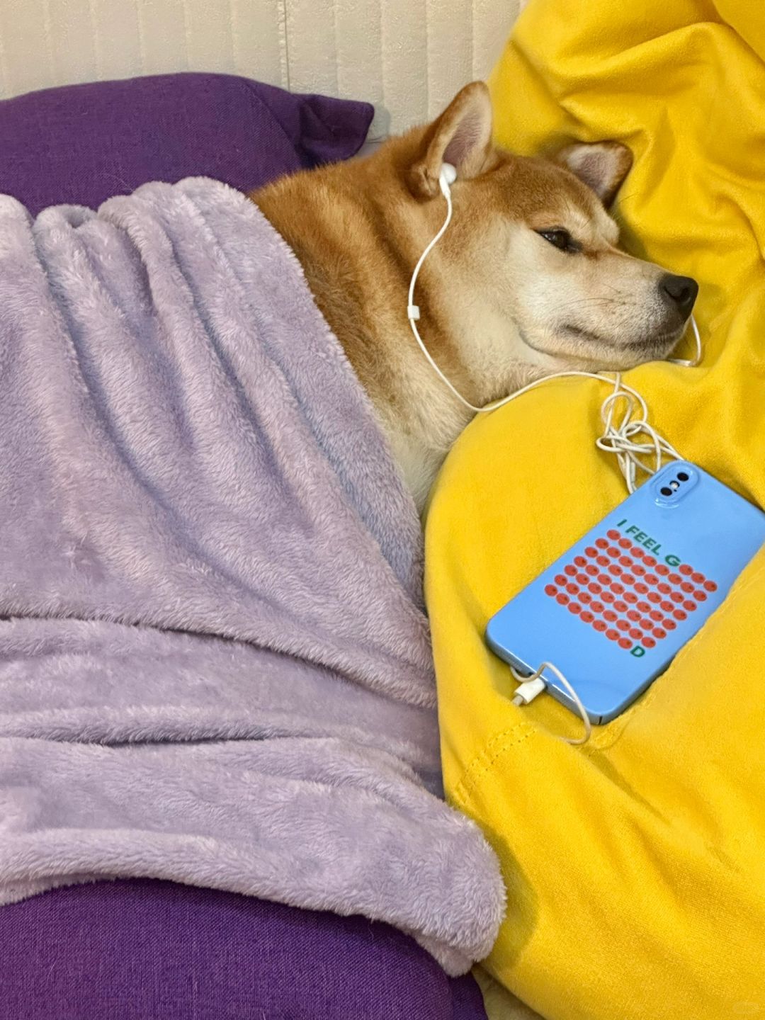 一个人的夜我的心 应该放在哪里