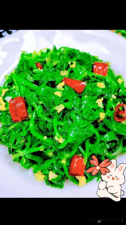 芹菜叶子是可以食用的，而且营养丰富。它们含有丰富的维生素（如维生素A、C、K）、