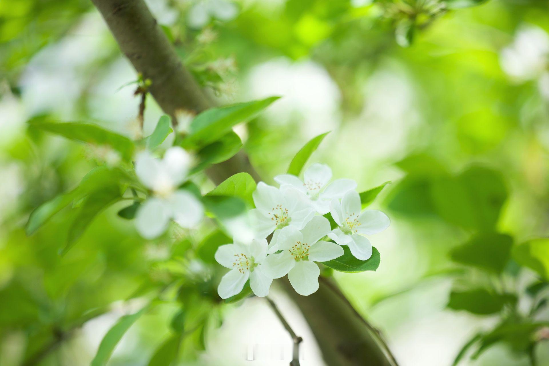 小菌 早安朋友们没有一个冬天不可逾越。没有一个春天不可到来 