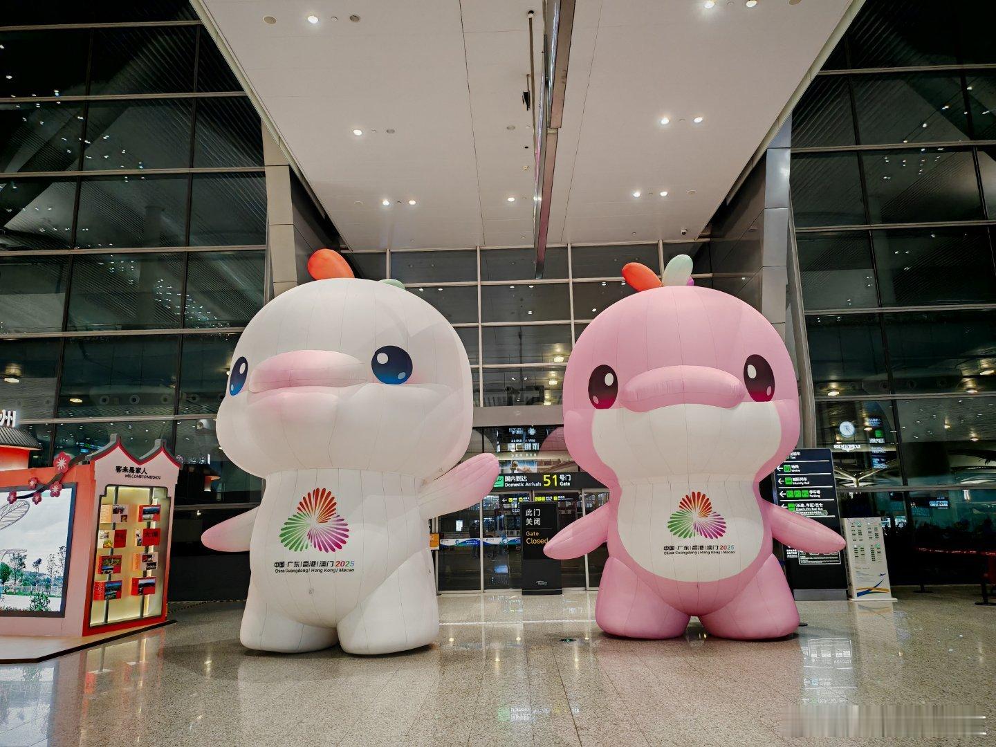 多年后，估计没人记得他们是海豚。。