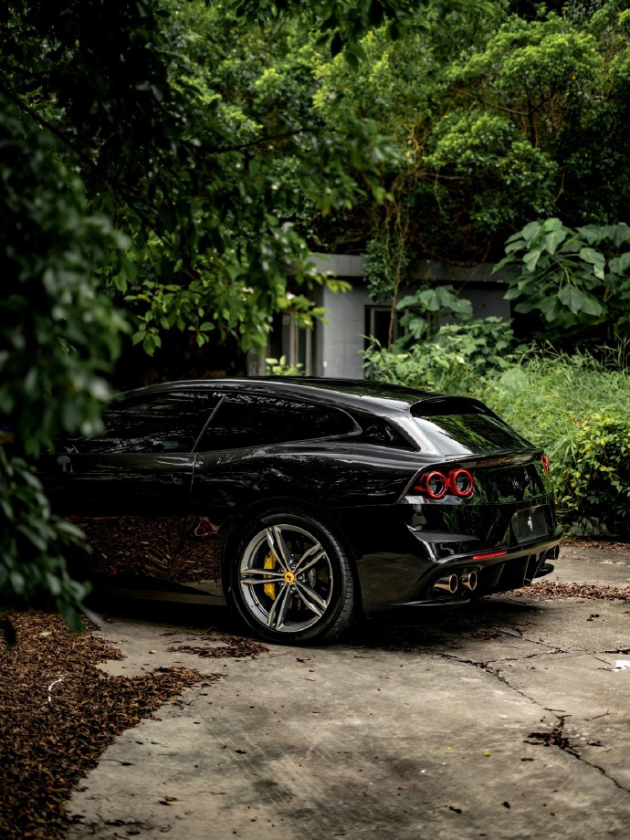 树影摇曳，洒下一片片斑驳陆离的光影。午后的阳光宛如细碎的金子，零零散散地洒落下来