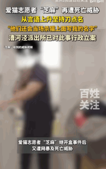 “人善被人欺！”上海，一位名叫“芝麻”的爱猫志愿者，竟然因为救助流浪猫，而遭到了