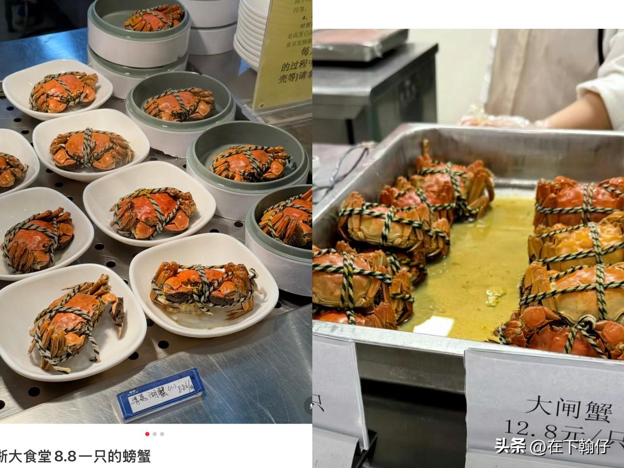 近日，浙江大学玉泉校区食堂因清蒸螃蟹定价冲上热搜——小只8.8元/只，大只12.