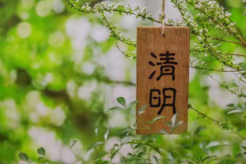 今天4月5日清明节，杜牧说清明时节雨纷纷，路上行人欲断魂，借问酒家何处有，牧童遥