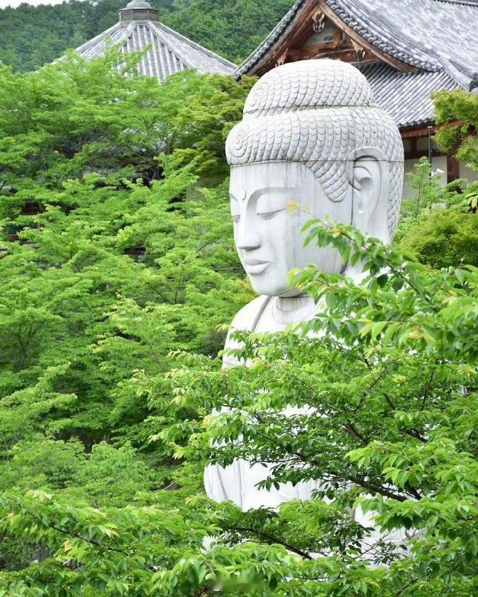 建议24小时内转下，遇佛转发  真的会有好事出现 🙏 