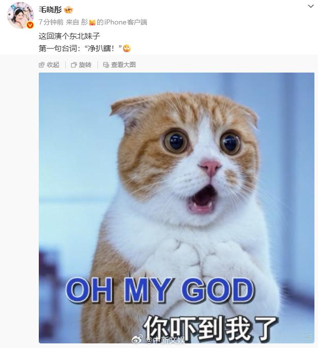 【毛晓彤ohmygod你吓到我了】毛晓彤台词净扒瞎就说Papi酱这个歌有多洗脑，