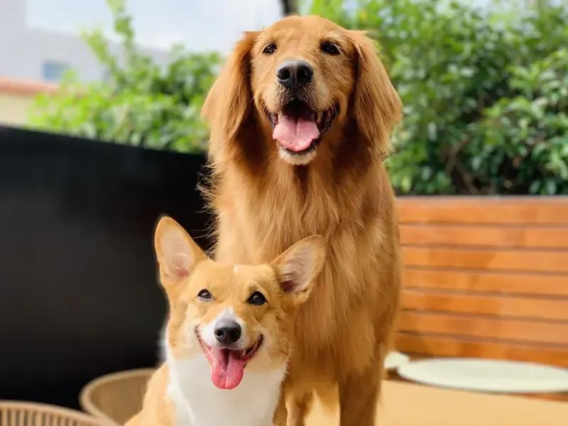 比起帅气多金，男人真正的魅力，藏在这3个“不起眼”的特质里
 
在这个过度追求外