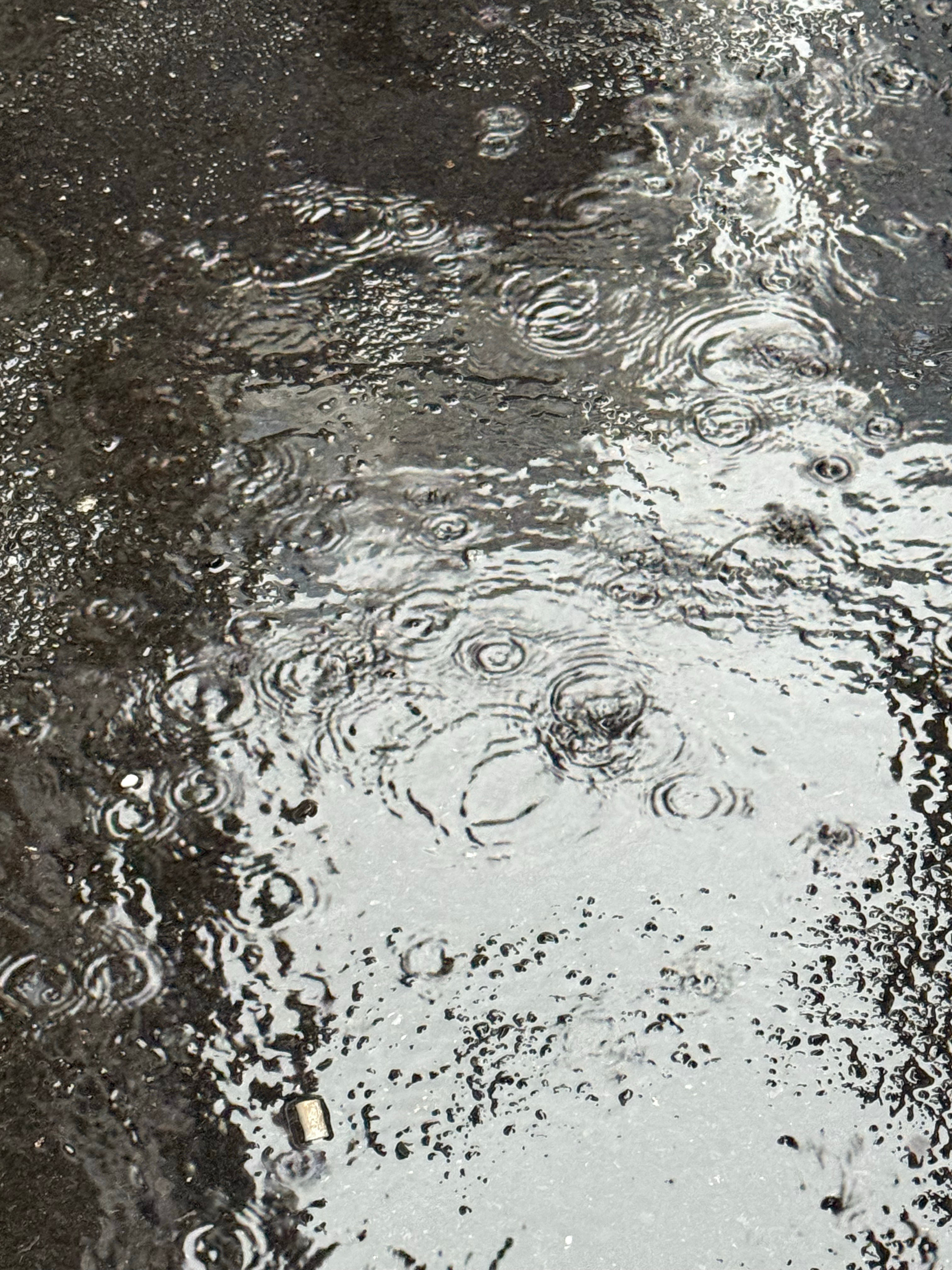 深圳暴雨大暴雨来袭深圳我不知道您是怎么了？专挑牛马上下班的时候下雨到了就停雨 深