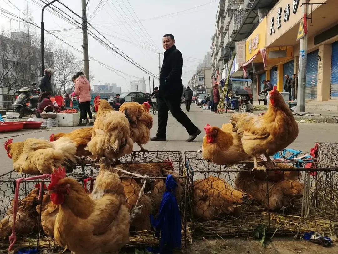 12点多了我想一个多小时应该回来了，我打电话关机状态。我又想电话没电了回来充电呢