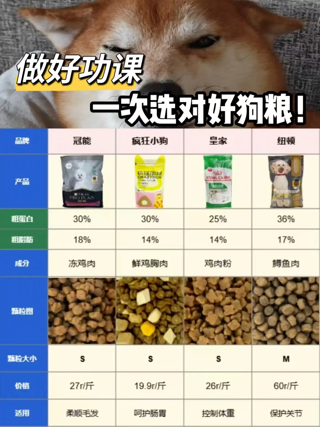 做好功课 新手也能一次选中好狗粮！