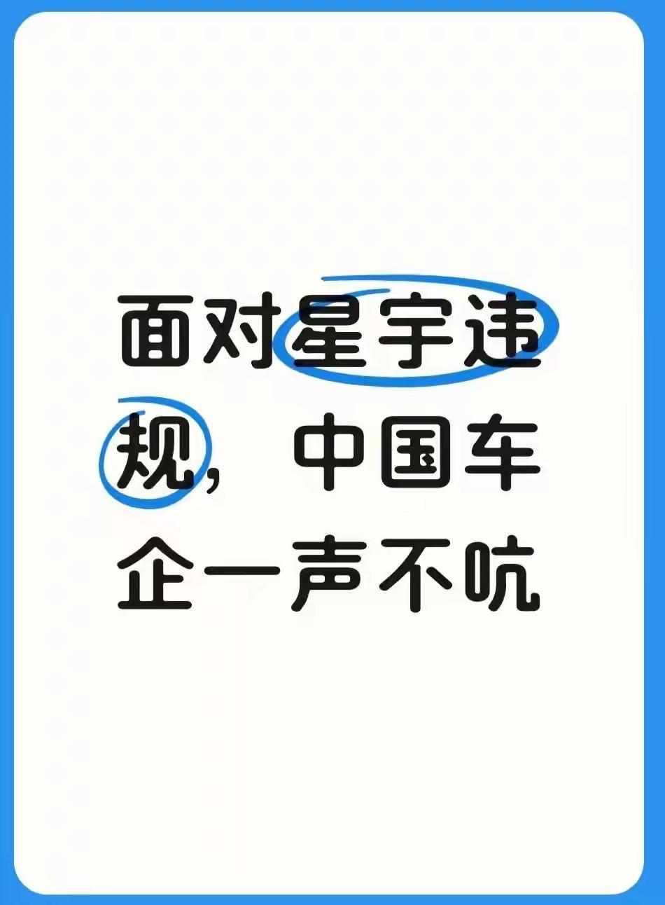 星宇违规解除劳动，与其有合作关系的外资非常重失，介入调查。但是我们的车企为什么没