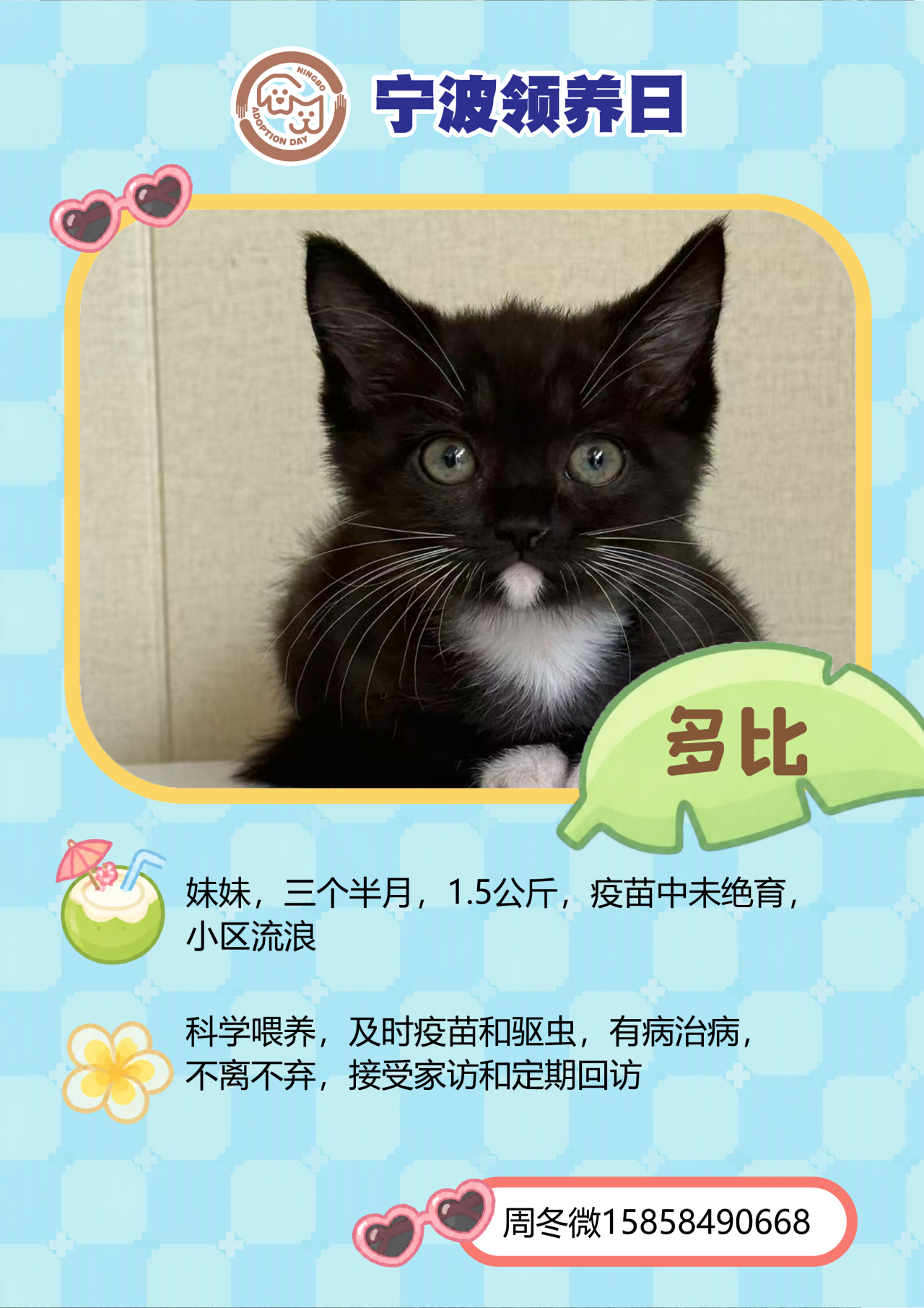 第116届宁波领养日来了 第116届宁波领养日登陆宁波海曙印象城🐱🐶9月13