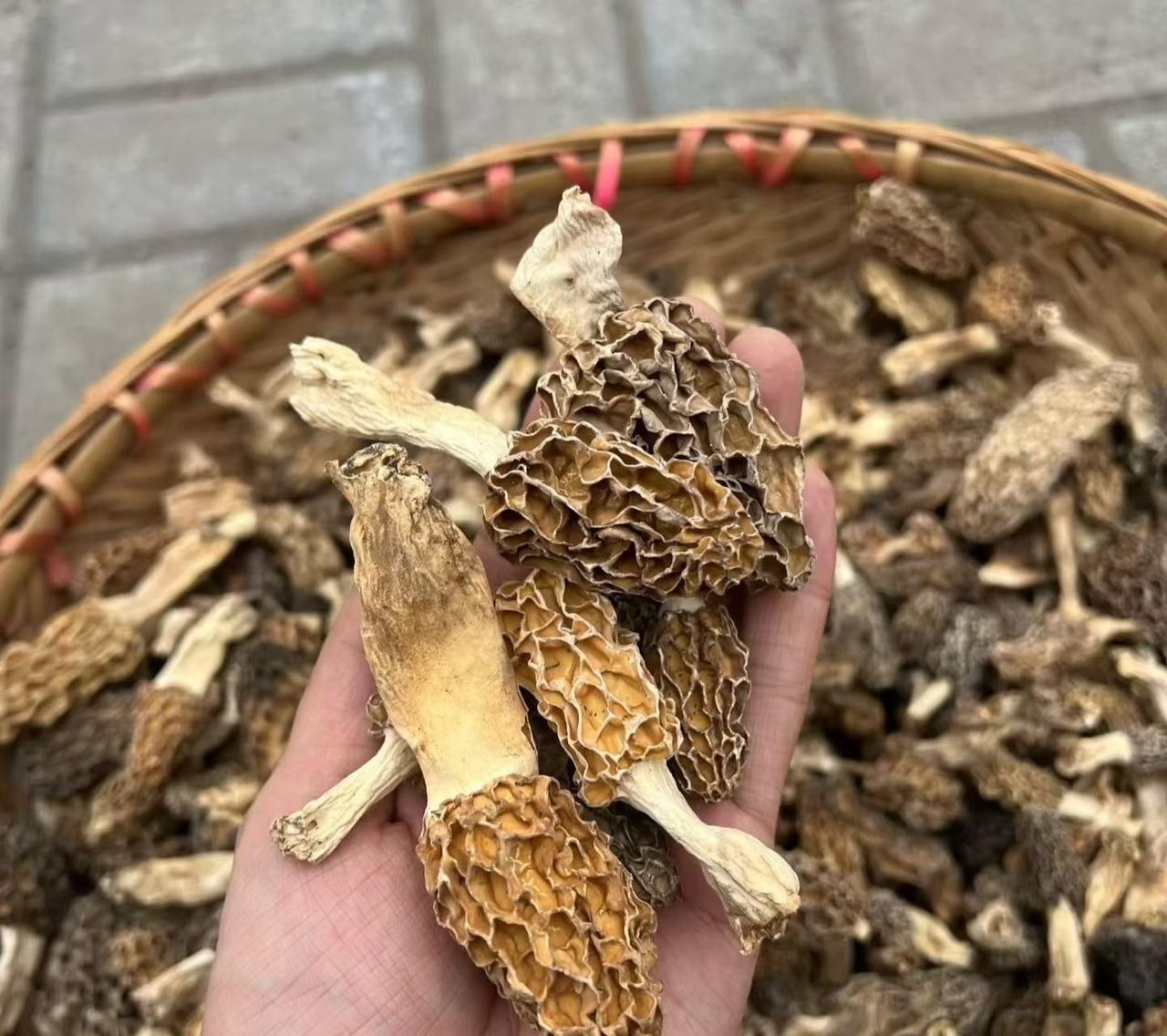 今天早上去早市买菜，选中了这个产于大山中的菌类，据说营养丰富，您知道它叫什么吗？