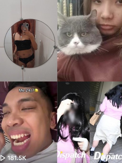 她和她的黑粉 