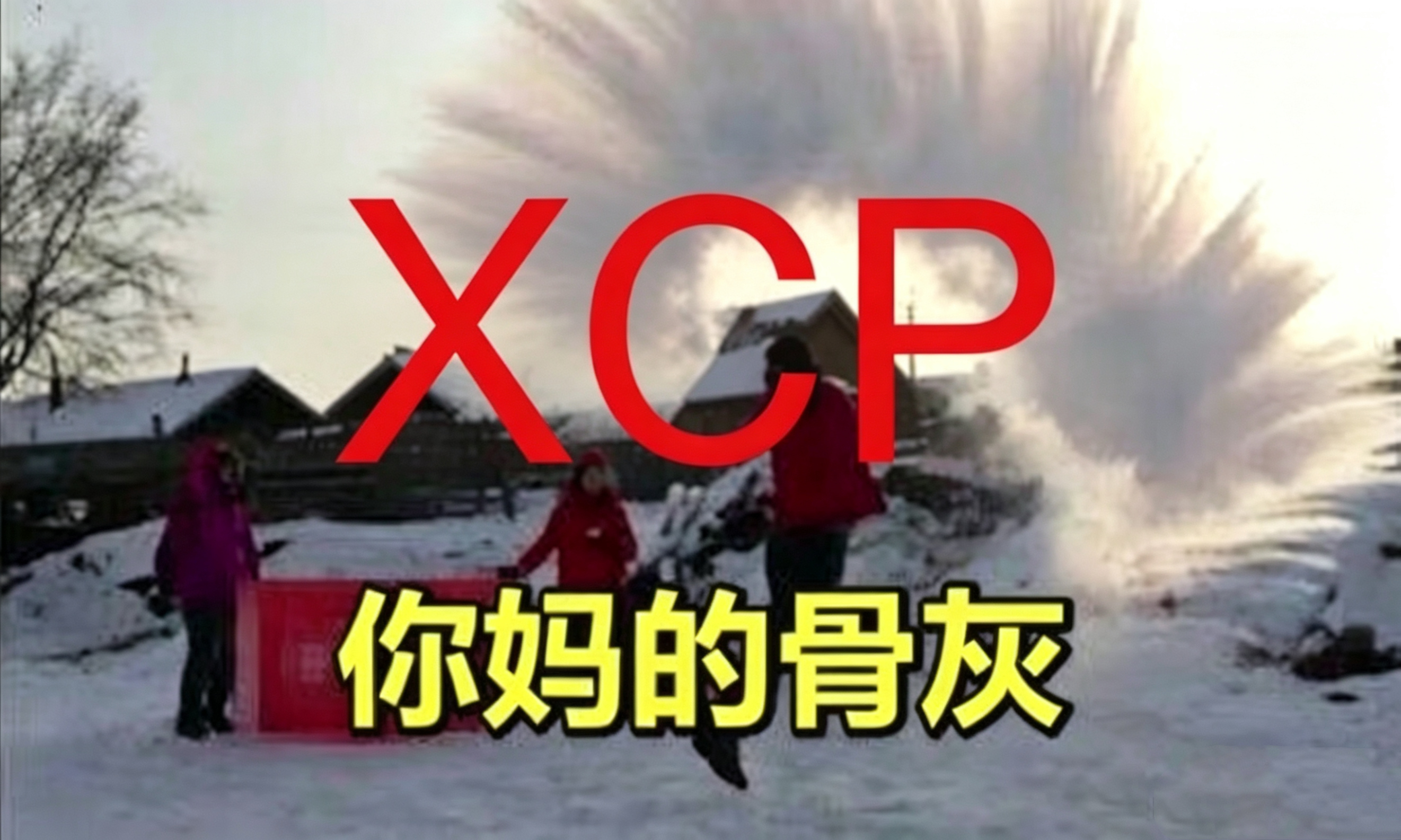 我不知道一群小学鸡在那替我妈天天告别什么东西你干脆点说个我不活了我上吊去了你放心
