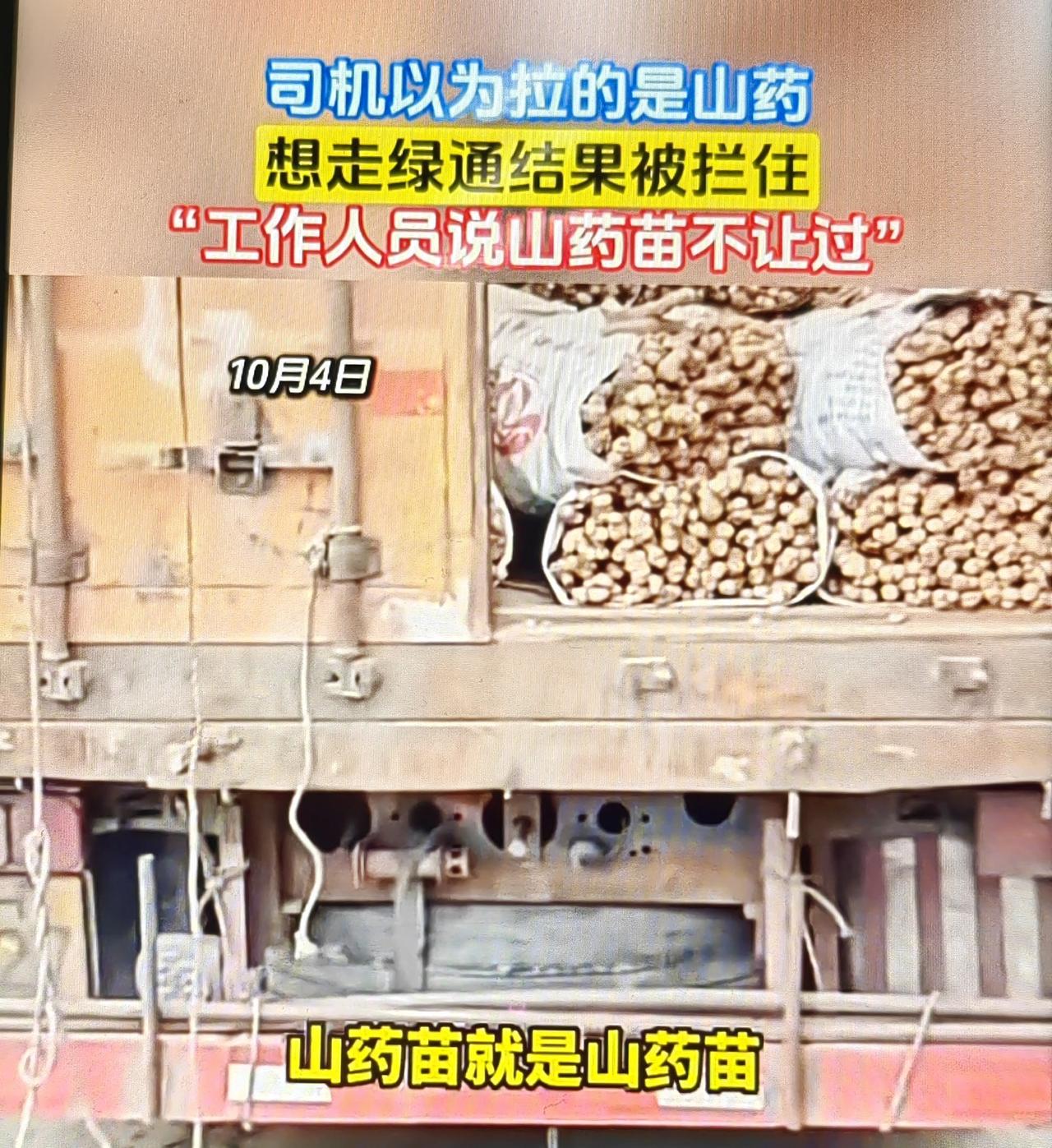 山西垣曲，一男子开货车，拉了一车山药苗过高速收费站。他以为车上装的是食用山药，申