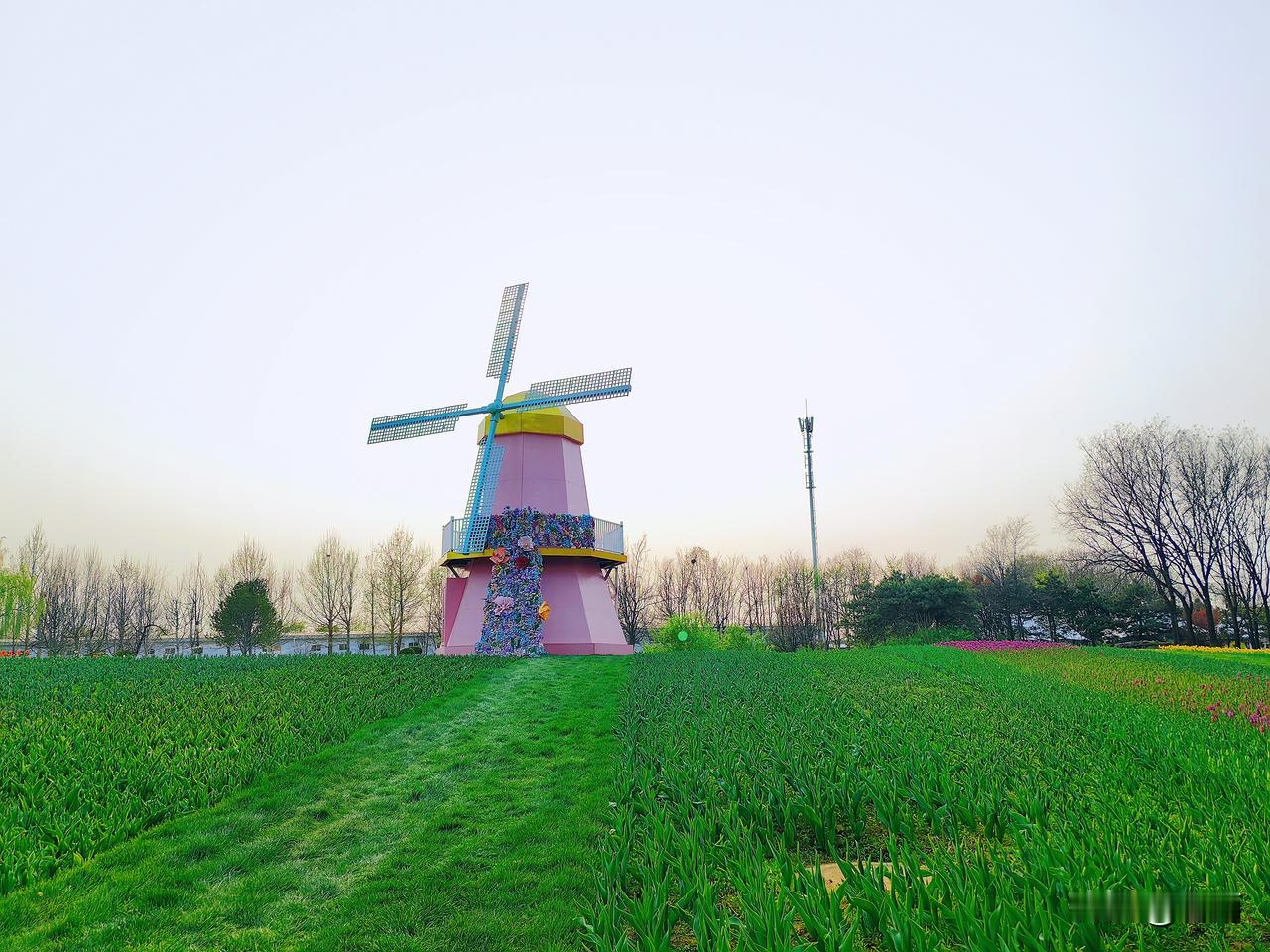 老年生活感悟：退休以后，活动的圈子越小，日子过得越顺。

退休之后，告别了职场的