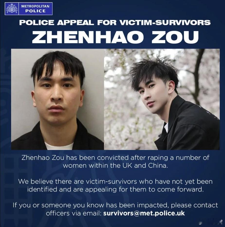 【中国驻法兰克福总领馆：中德警方密切合作，成功破获我馆领区系列强奸案】//(Da