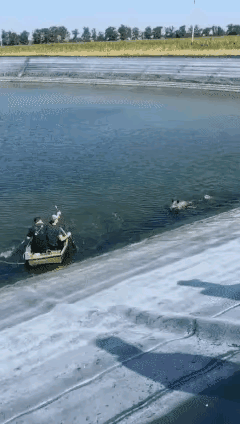 厉害，还没加速把船推翻，还是个人吗