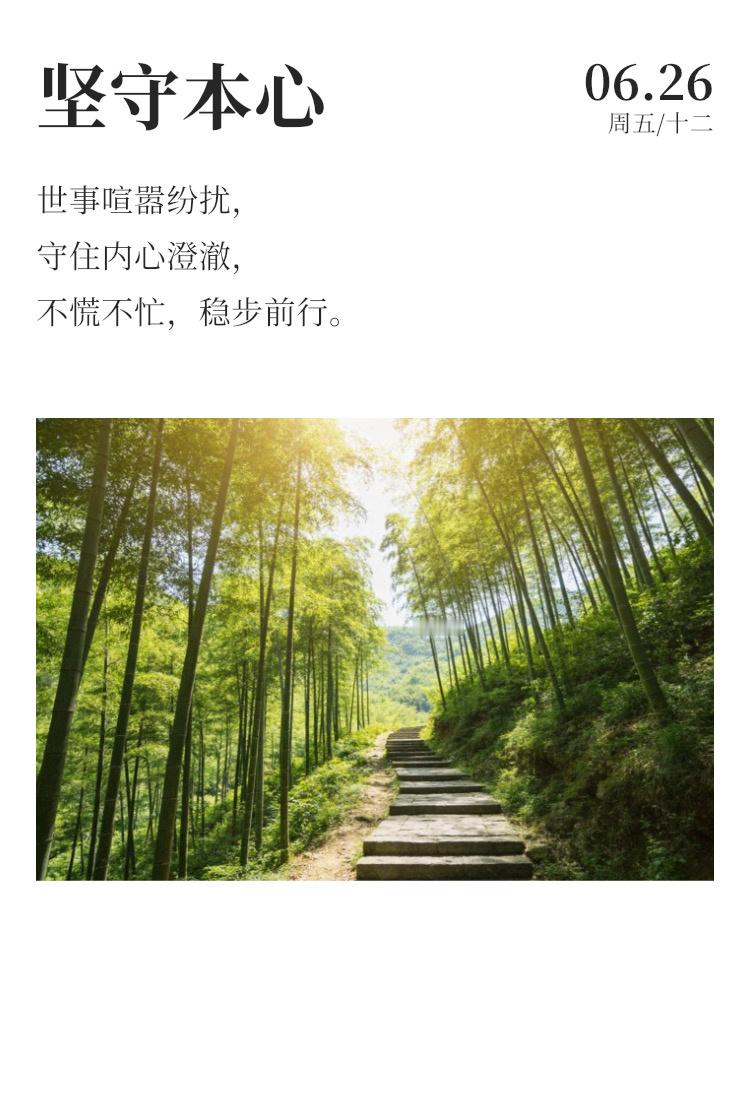 早安 ☀️每日早起打卡 用心甘情愿的态度，全力以赴去做每一件事，结果自然会让你意