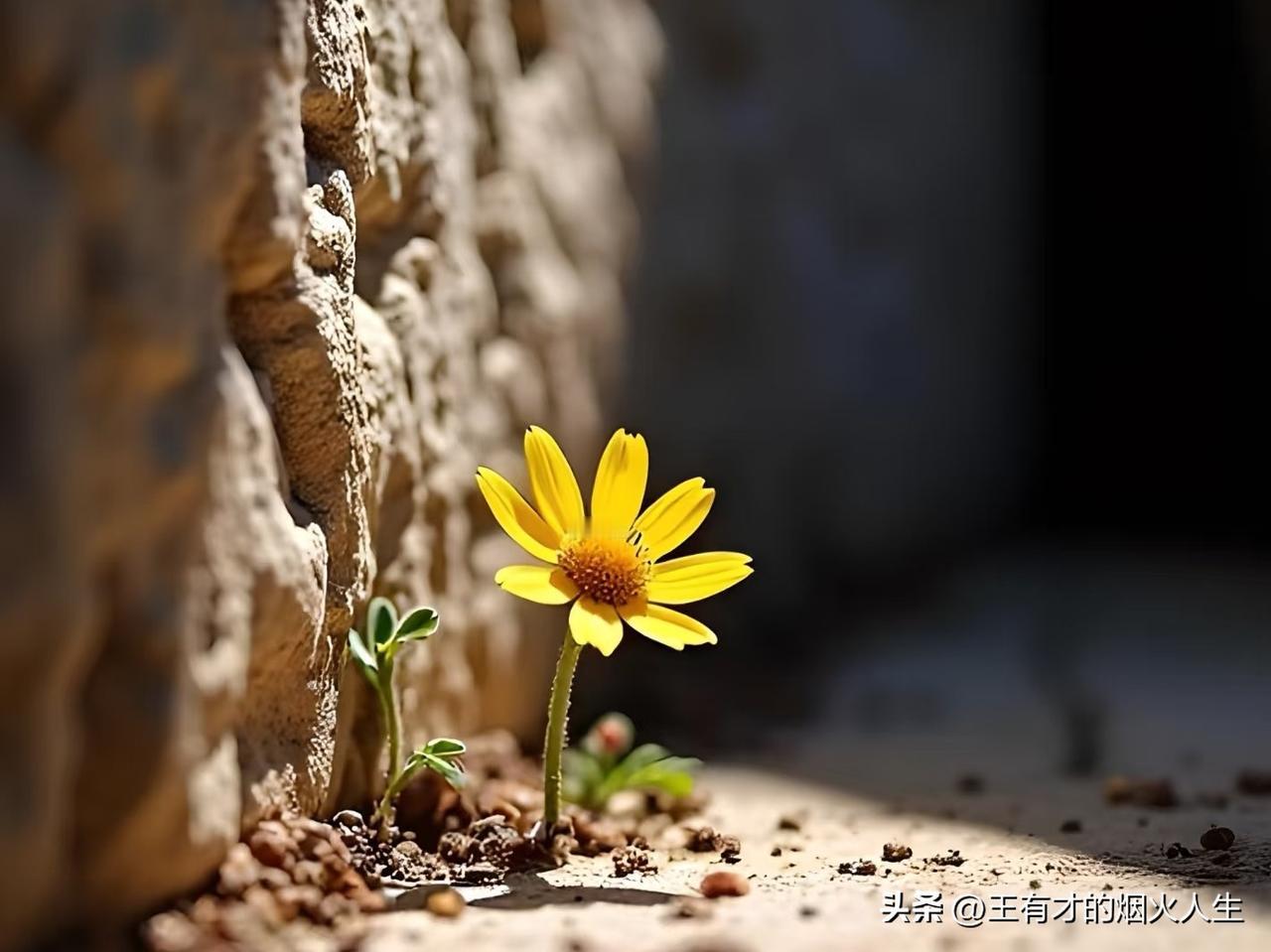 看完你就不抑郁了
 
      人生一世，其实就活一个“心态”。想得开是天堂，