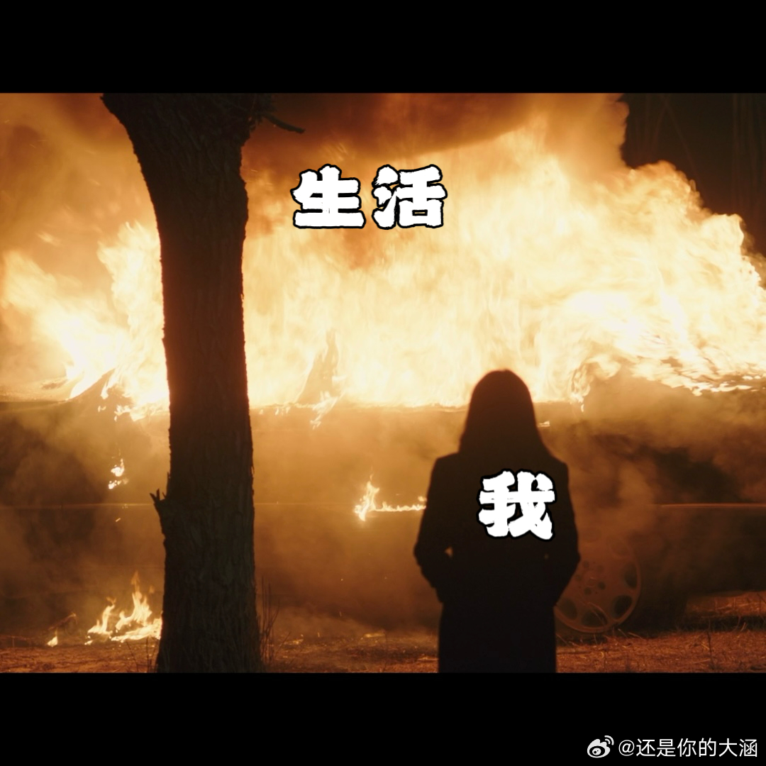 龙番往事全阵容官宣法医秦明之龙番往事 “一念之间人即是兽”的原著内核，剧集能否还