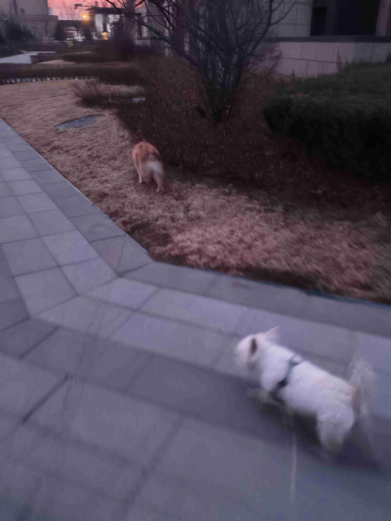 我的今日状态：😁轻松愉快
我这里的天气：☀️晴天