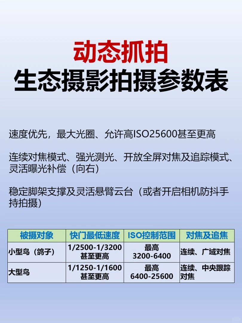 新手打鸟要怎么拍❓一张图教你相机设置📸