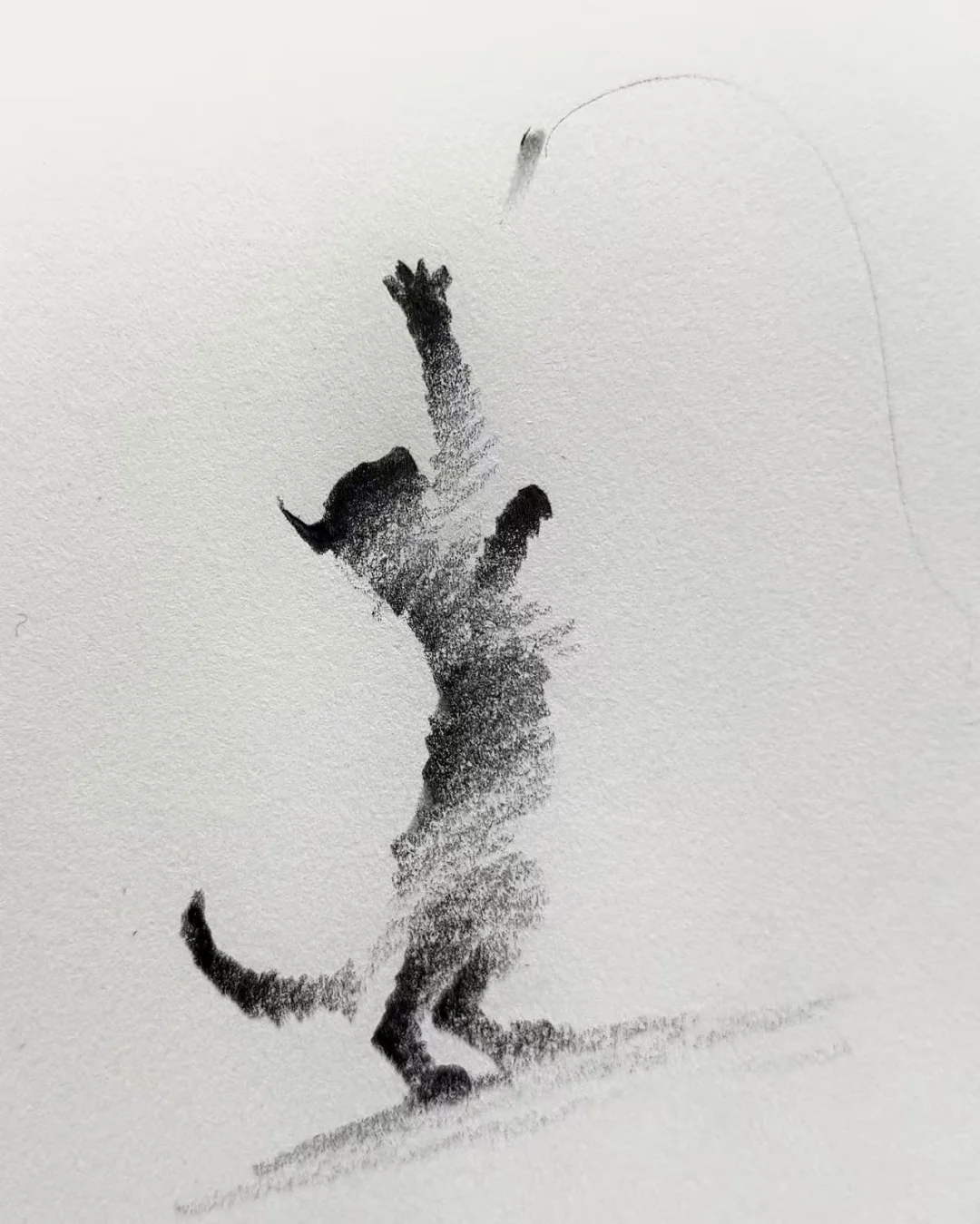 第一次见这样画猫的….