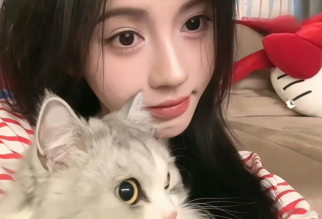 小老三儿贝贝是“猫颜一“ 