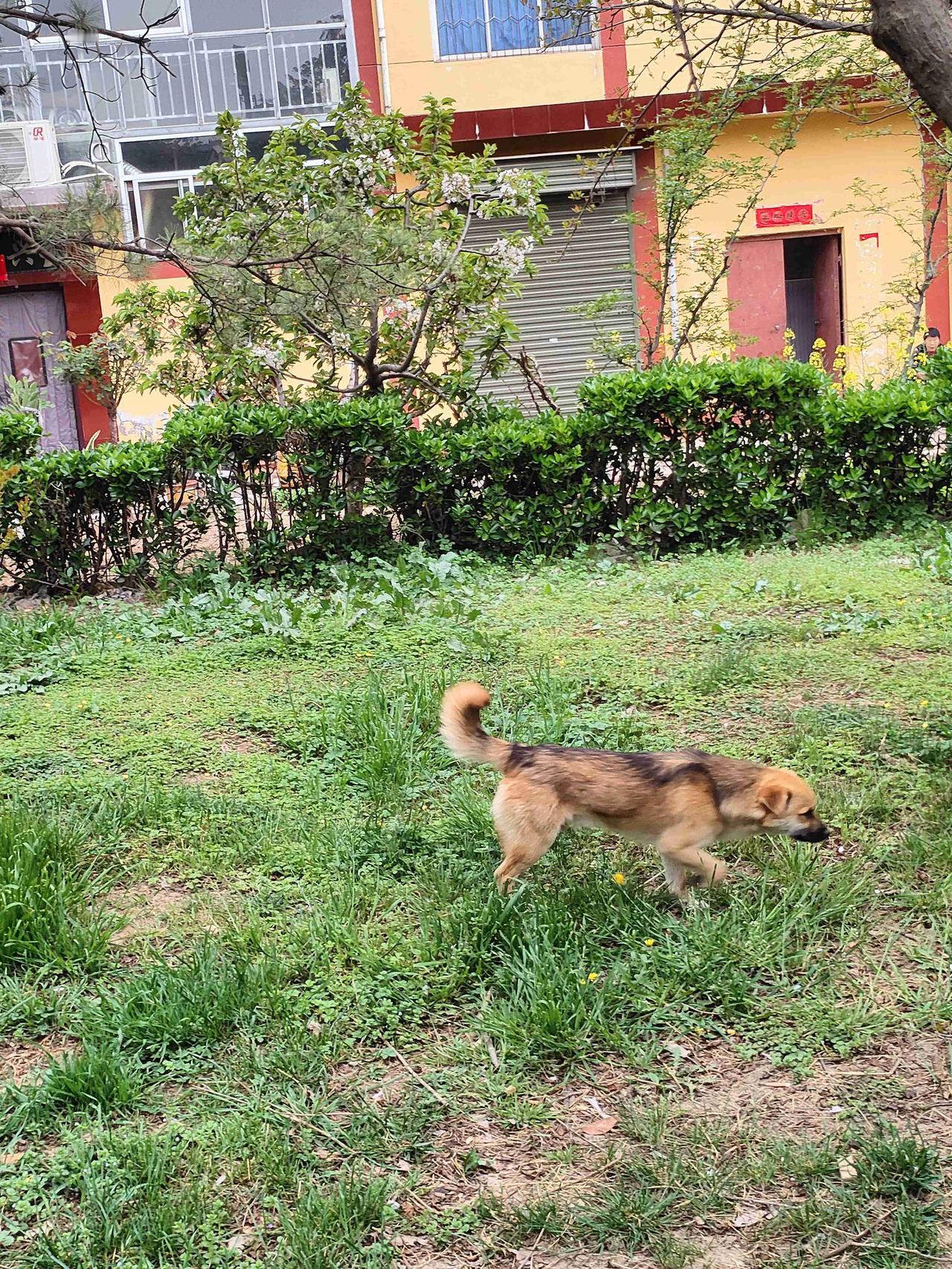 我的今日状态：😁轻松愉快
我这里的天气：🌤️多云