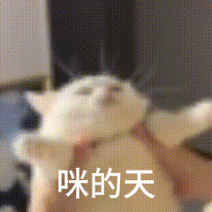 白玉兰获奖名单 大厂的黑玉兰，let's预制❤ 