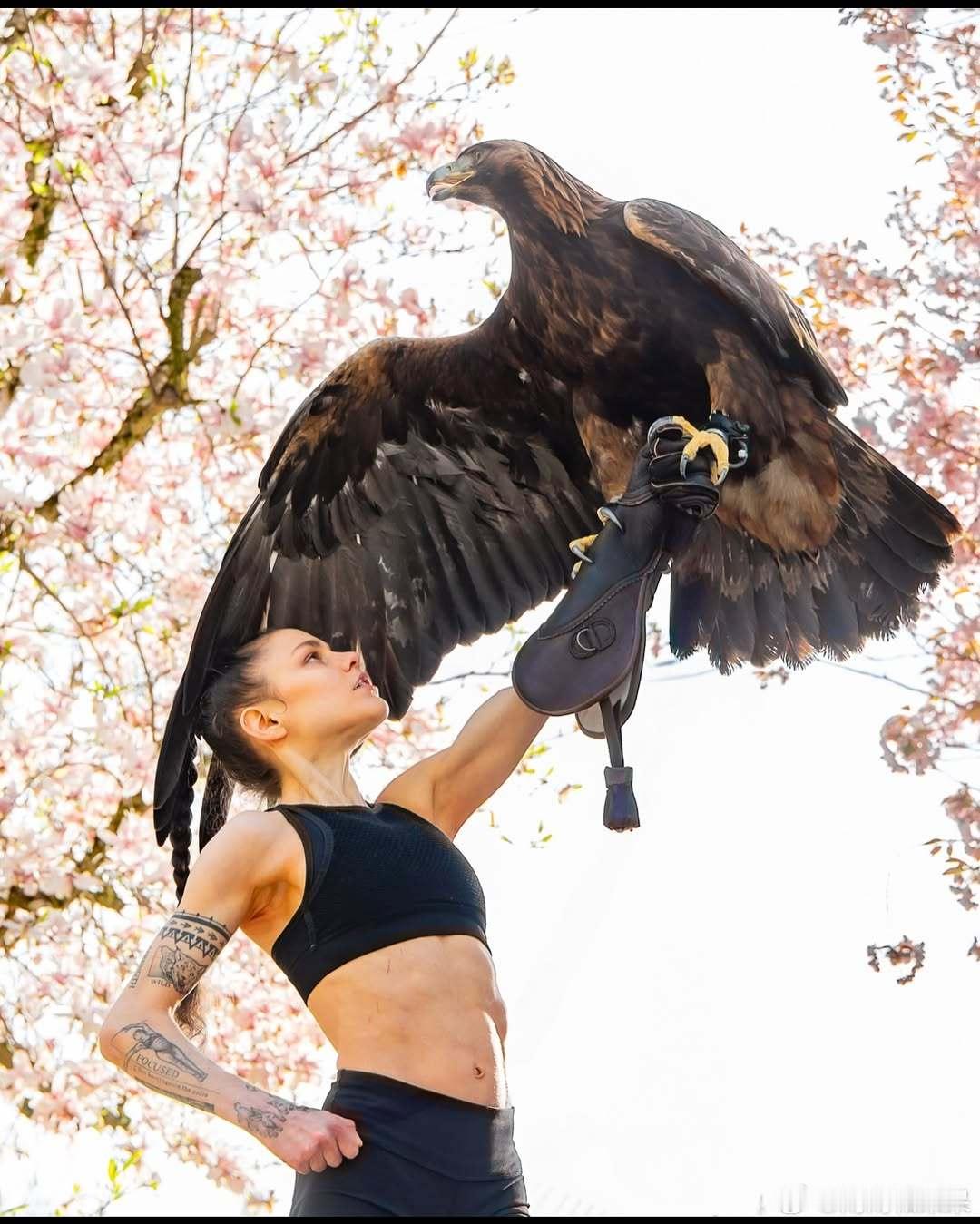 🦅cr：stefaniemillinger ​​​
