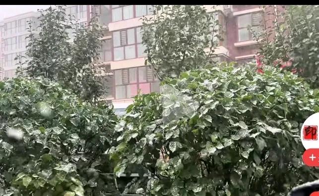 今年的张家口很特别，国庆的第一天就降雪了！
可见雪雾濛濛，交警冒着风雪在守护着交