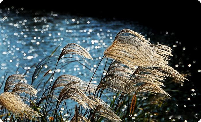 分享一张你拍的最美的一张照片看看我这张照片美不美