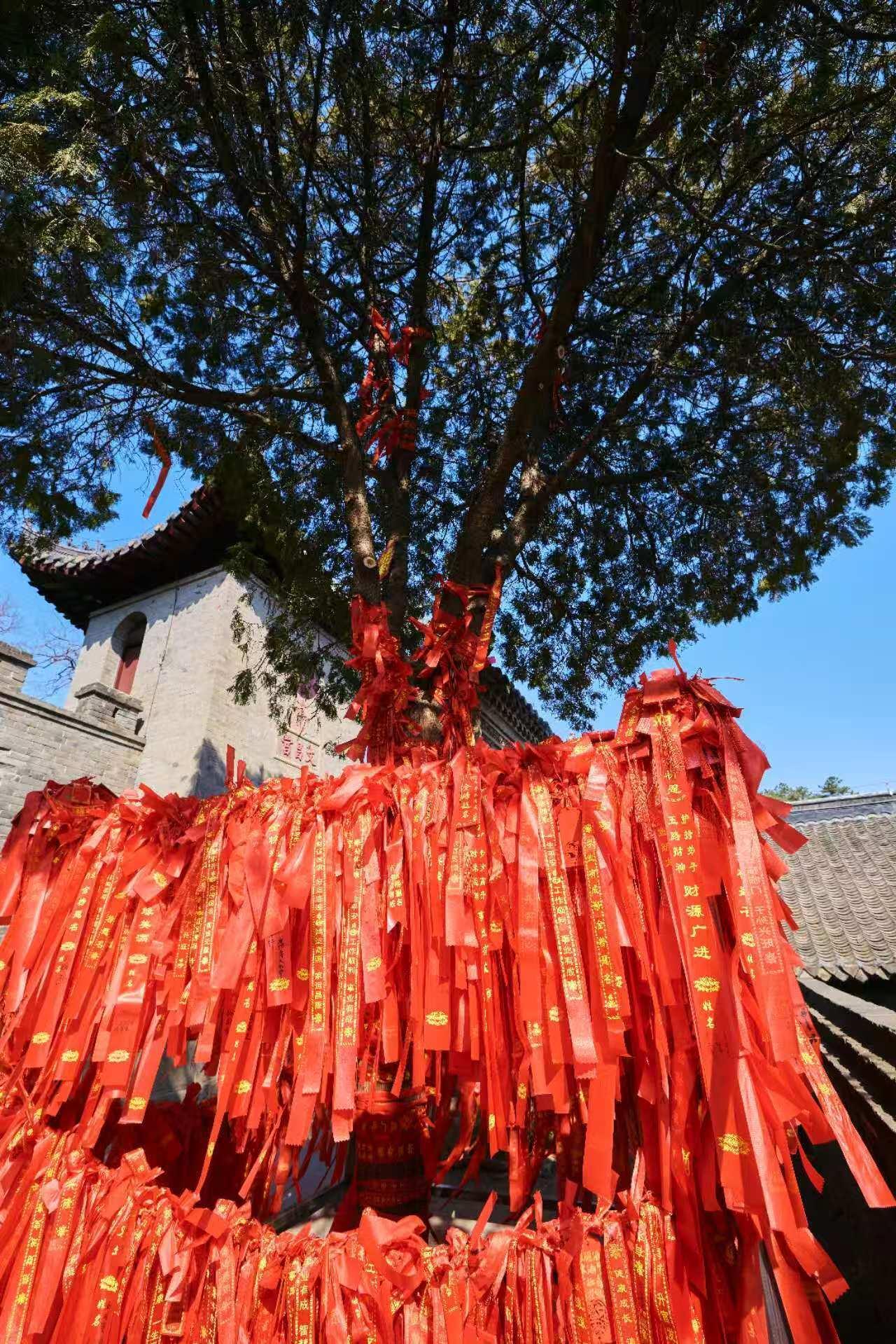 郭京飞做导游也太夯了郭京飞野生导游一边带大家领略大孤山的春日美景，一边疯狂安利当