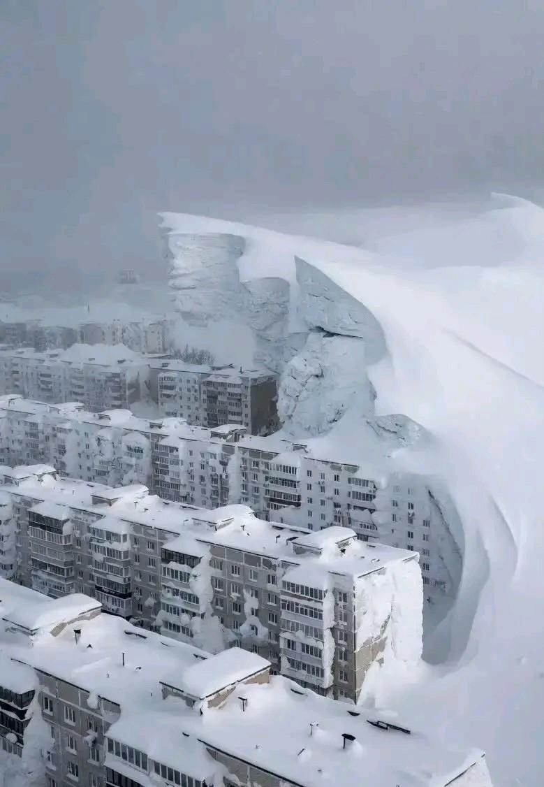 看看这大雪吧！知道我们老祖宗为什么不要西伯利亚了吗？本以为东北的大雪已经够大了，