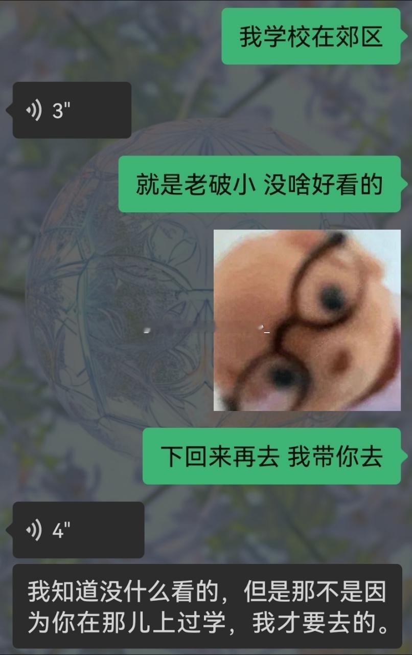 20615xxg前几天去我家乡旅游了，跟我说要去看看我高中，但因为市区离我高中很