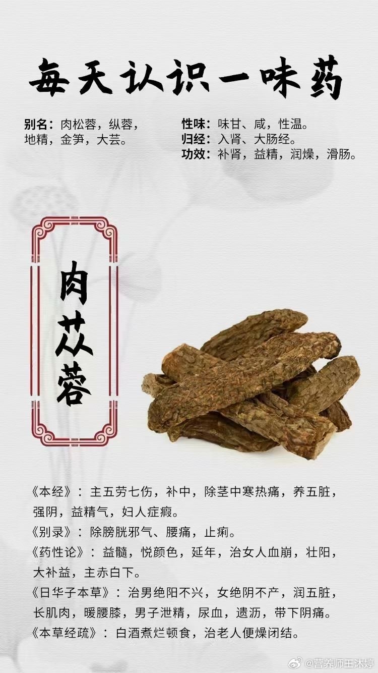 #每天一味中草药##国医的精诚力量# 【每天认识一味药】[鲜花]肉苁蓉 ⭕别名：