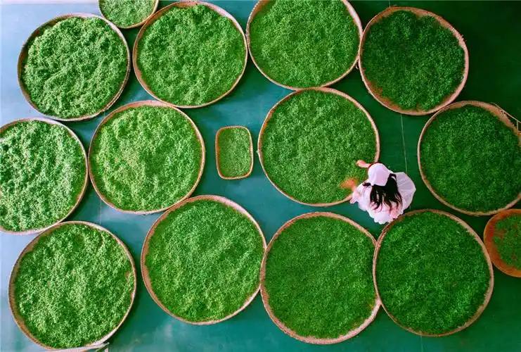 传统下行的行业，只有跨界创新，才有出路：以茶叶为例
市场消费趋势：茶叶消费量未下