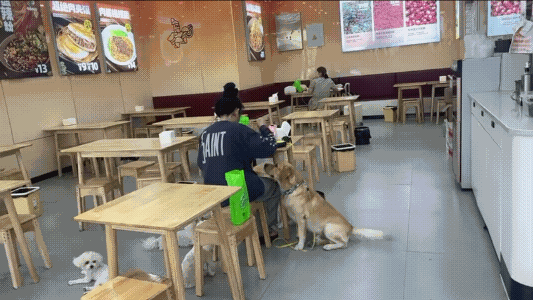 这是一位爱狗的女士，确定无疑。店家也皆有可能是爱狗的店家。不然，店家也不可能让一