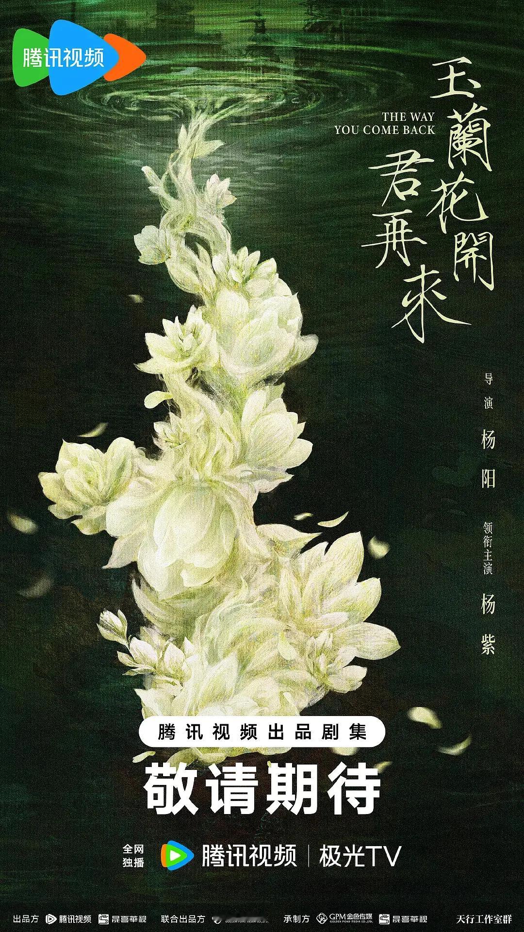 玉兰花开君再来官宣杨紫！！！[憧憬][憧憬][憧憬][憧憬][憧憬][憧憬] ​