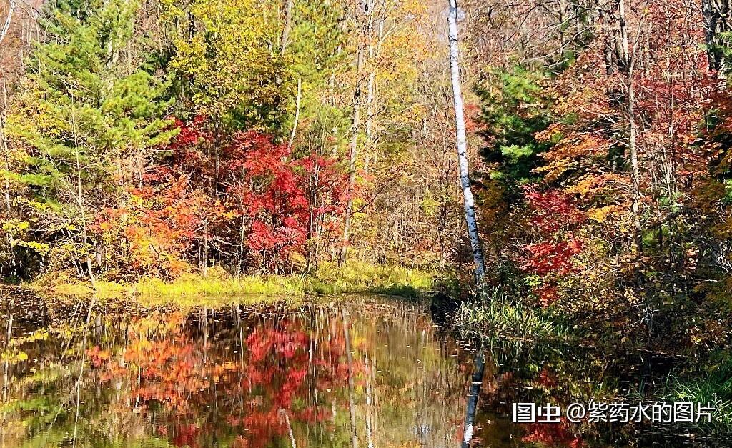 #旅行##合肥旅行拍照##风光#