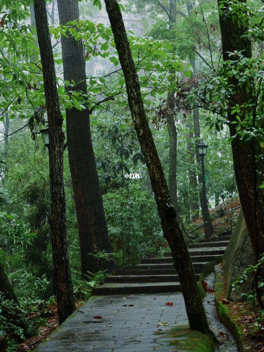 每周一山|成都小众登山，探索赵云归隐地